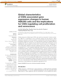 Global Characteristics of Csig-Associated Gene Expression Changes in Human Hek293 Cells and the Implications for Csig Regulating Cell Proliferation and Senescence