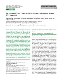 Panax Ginseng) Through RNA Sequencing