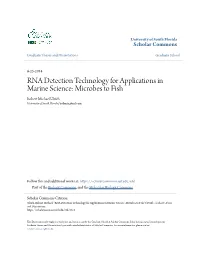 RNA Detection Technology for Applications in Marine Science: Microbes to Fish Robert Michael Ulrich University of South Florida, Bobmiu@Aol.Com
