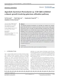 Agarolytic Bacterium Persicobacter Sp. CCB&#X2010