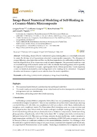 Image-Based Numerical Modeling of Self-Healing in a Ceramic-Matrix Minicomposite