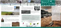 RSPB 6Pp Leaflet