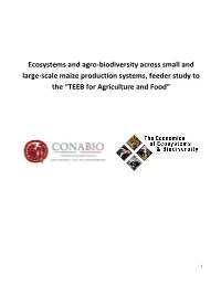 Ecosystems and Agro-Biodiversity Across Small and Large-Scale Maize Production Systems, Feeder Study to the “TEEB for Agriculture and Food”