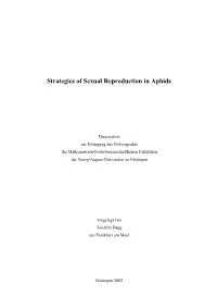 Strategies of Sexual Reproduction in Aphids