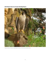 2019 Raptor Resource Project Banding Report
