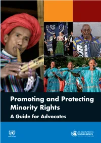 Promoting and Protecting Minority Rights a Guide for Advocates