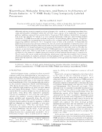 A 13C NMR Study Using Isotopically Labeled Precursors