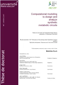 Computational Modeling to Design and Analyze Synthetic Metabolic Circuits