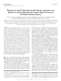 Patterns of Gene Expression in the Ductus Arteriosus Are Related to Environmental and Genetic Risk Factors for Persistent Ductus Patency