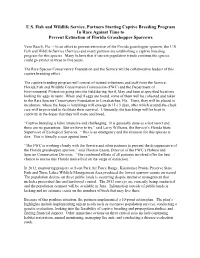 U.S. Fish and Wildlife Service, Partners Starting Captive Breeding Program in Race Against Time to Prevent Extinction of Florida Grasshopper Sparrows