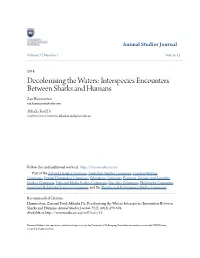 Decolonising the Waters: Interspecies Encounters Between Sharks and Humans Zan Hammerton Zan.Hammerton@Zoho.Com