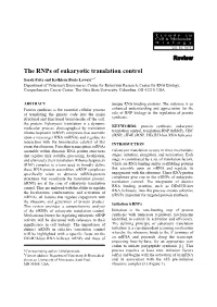 The Rnps of Eukaryotic Translation Control