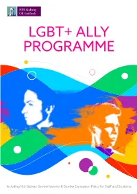 Lgbt+ Ally Programme