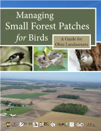 Small Forest Patches for Birds a Guide for Ohio Landowners About This Guide