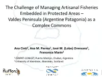 The Challenge of Managing Artisanal Fisheries Embedded in Protected Areas – Valdes Peninsula (Argentine Patagonia) As a Complex Commons