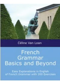 French Grammar Basics and Beyond