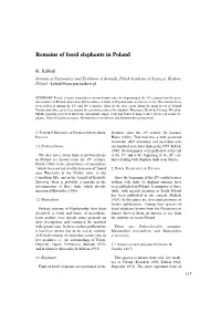 Remains of Fossil Elephants in Poland