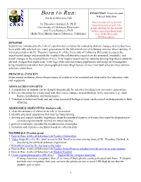 Born to Run: EVOLUTION: Variation and Natural Selection Artificial Selection Lab Two Versions of This Lesson by Theodore Garland, Jr., Ph.D