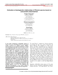 Estimation of Phylogenetic Relationships of Phlomis Species Based on Seed Protein Polymorphism