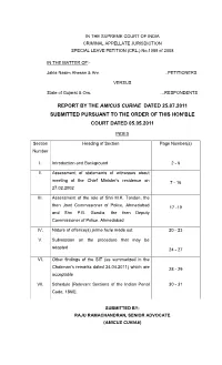 Final Report by Amicus Curiae