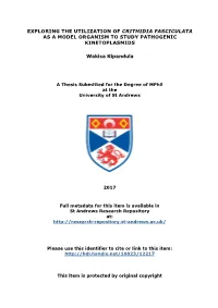 Wakisa Kipandula Mphil Thesis