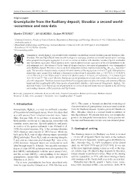 Grumiplucite from the Rudňany Deposit, Slovakia: a Second World- -Occurrence and New Data
