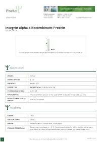 Integrin Alpha 4 Recombinant Protein Cat