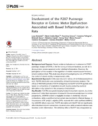Involvement of the P2X7 Purinergic Receptor in Colonic Motor Dysfunction Associated with Bowel Inflammation in Rats