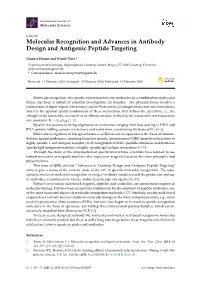 Molecular Recognition and Advances in Antibody Design and Antigenic Peptide Targeting