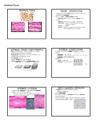 Epithelial Tissue