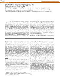 P53 Regulates Myogenesis by Triggering the Differentiation