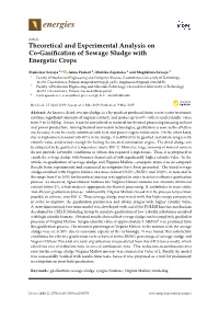Theoretical and Experimental Analysis on Co-Gasification of Sewage