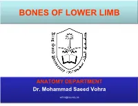 Bones of Lower Limb