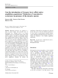 Can the Introduction of Xenopus Laevis Affect Native Amphibian Populations? Reduction of Reproductive Occurrence in Presence of the Invasive Species