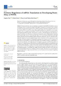 Extrinsic Regulators of Mrna Translation in Developing Brain: Story of Wnts