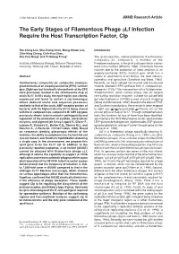 The Early Stages of Filamentous Phage Φlf Infection Require the Host Transcription Factor, Clp