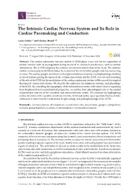 The Intrinsic Cardiac Nervous System and Its Role in Cardiac Pacemaking and Conduction