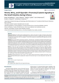 Wnt2b, Wnt3, and R-Spondin-1 Promote -Catenin Signaling in The