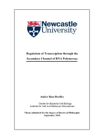 Regulation of Transcription Through the Secondary Channel of RNA Polymerase
