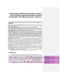 Paper Template