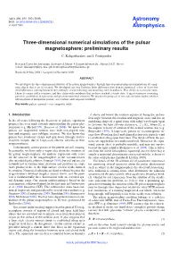 Three-Dimensional Numerical Simulations of the Pulsar Magnetosphere: Preliminary Results