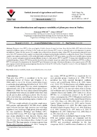 Strain Identification and Sequence Variability of Plum Pox Virus in Turkey