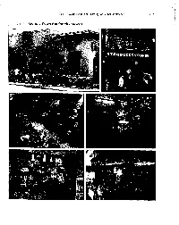 69 Scenes from Starbucks Stores C-24 Cases in Crafting and Executing Strategy Into Common Stock in 1997