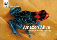 Amazon Alive!