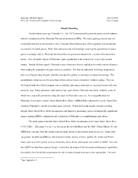 Rabindra (Robby) Ratan March 2002 STS 145: History of Computer Game Design Case History Simply Smashing Nearly Twenty Years A