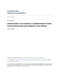 Characterization of Ncf1 Mutants in a Zebrafish Model of Innate Immune Function with Human Influenza a Virus Infection