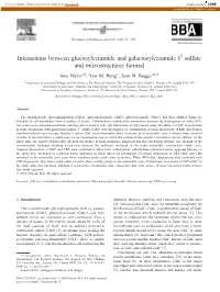 Interactions Between Glucosylceramide and Galactosylceramide I3 Sulfate and Microstructures Formed