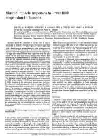 Skeletal Muscle Responses to Lower Limb Suspension in Humans