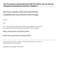 Structural Studies of Human Telomerase Complexes by Cryo‑Electron Microscopy