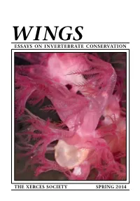 Essays on Invertebrate Conservation